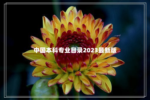 中国本科专业目录2023最新版