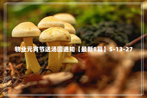 物业元宵节送汤圆通知【最新8篇】5-13-27