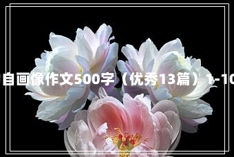 我的自画像作文500字（优秀13篇）1-10-99