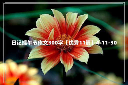 日记端午节作文300字【优秀11篇】4-11-30