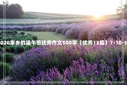 2020家乡的端午节优秀作文500字【优秀13篇】7-10-50