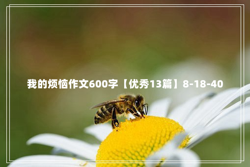 我的烦恼作文600字【优秀13篇】8-18-40