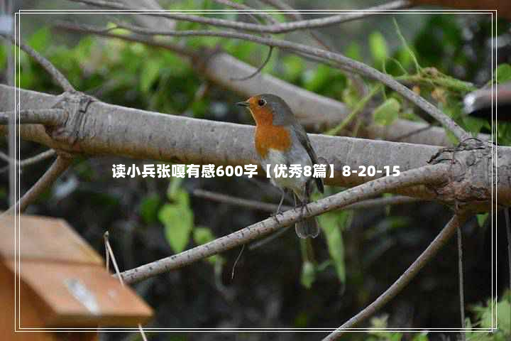 读小兵张嘎有感600字【优秀8篇】8-20-15