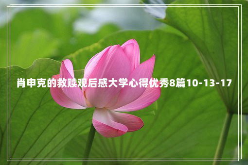 肖申克的救赎观后感大学心得优秀8篇10-13-17