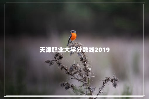 天津职业大学分数线2019