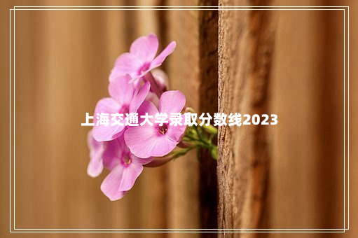 上海交通大学录取分数线2023