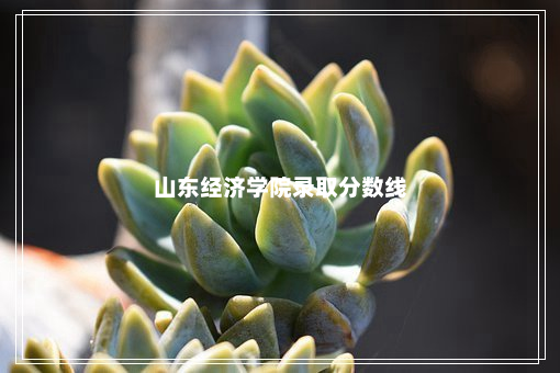 山东经济学院录取分数线