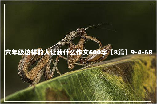 六年级这样的人让我什么作文600字【8篇】9-4-68