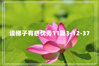 读梯子有感优秀11篇3-12-37