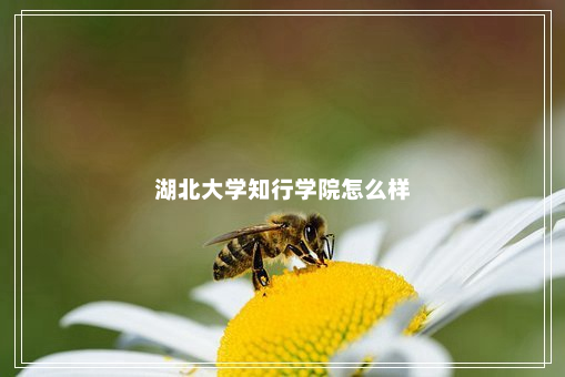 湖北大学知行学院怎么样