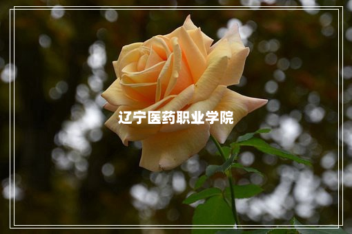 辽宁医药职业学院