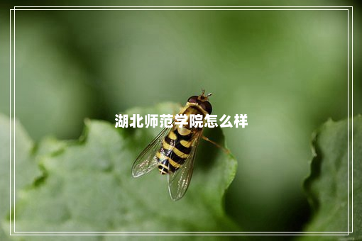 湖北师范学院怎么样