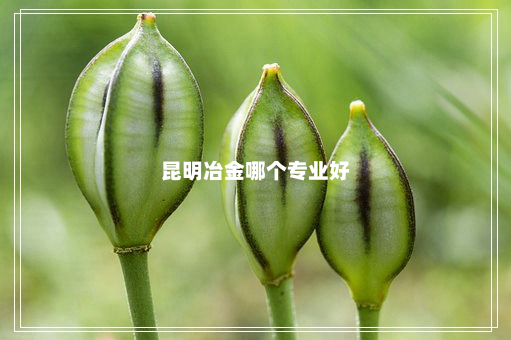 昆明冶金哪个专业好