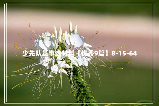 少先队员事迹材料【优秀9篇】8-15-64