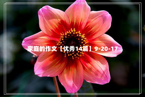 家庭的作文【优秀14篇】9-20-17