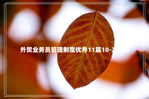 外贸业务员管理制度优秀11篇10-20-39