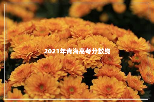 2021年青海高考分数线