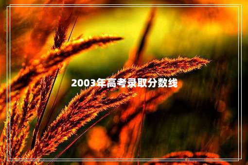 2003年高考录取分数线