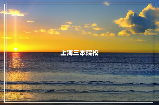 上海三本院校