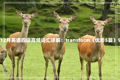 2024年12月英语四级高频词汇详解：transform（优秀5篇）9-14-32