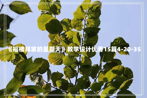 《福楼拜家的星期天》教学设计优秀15篇4-20-35