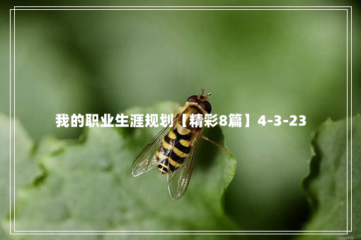 我的职业生涯规划【精彩8篇】4-3-23