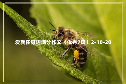 爱就在身边满分作文（优秀7篇）2-10-20