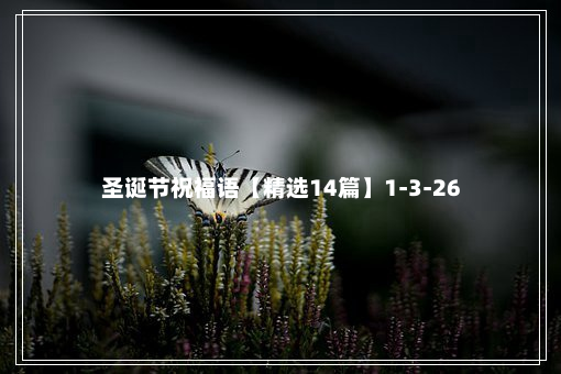 圣诞节祝福语【精选14篇】1-3-26