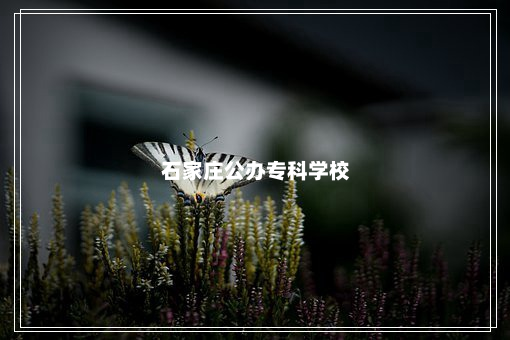 石家庄公办专科学校