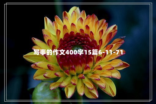 写事的作文400字15篇6-11-71