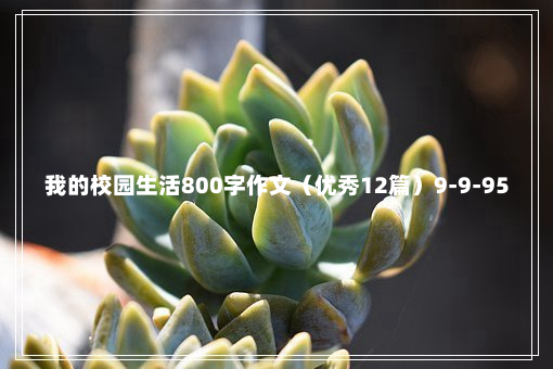 我的校园生活800字作文（优秀12篇）9-9-95