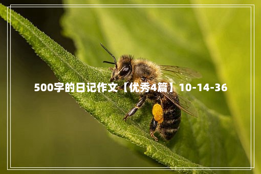 500字的日记作文【优秀4篇】10-14-36