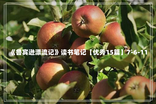 《鲁宾逊漂流记》读书笔记【优秀15篇】7-6-11