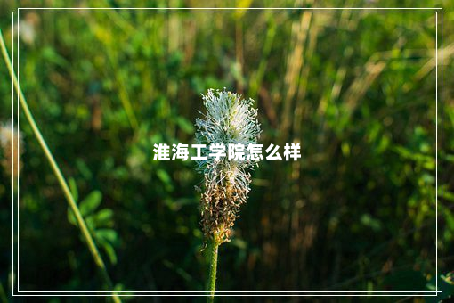 淮海工学院怎么样