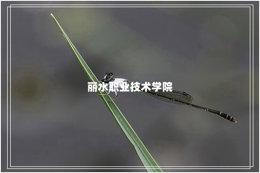 丽水职业技术学院