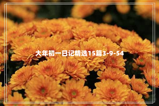 大年初一日记精选15篇3-9-54