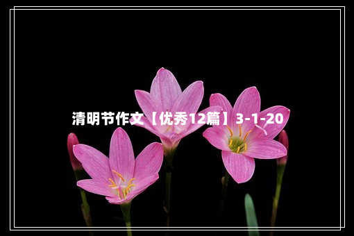 清明节作文【优秀12篇】3-1-20