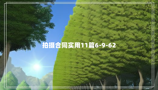 拍摄合同实用11篇6-9-62