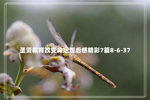 圣贤教育改变命运观后感精彩7篇8-6-37