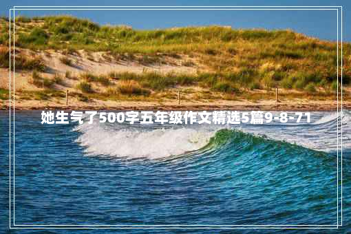 她生气了500字五年级作文精选5篇9-8-71