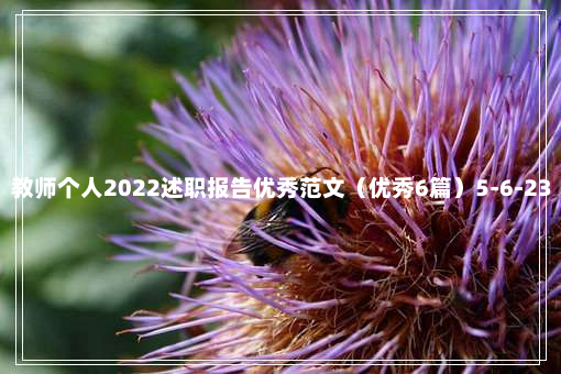 教师个人2022述职报告优秀范文（优秀6篇）5-6-23