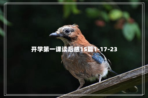 开学第一课读后感15篇1-17-23