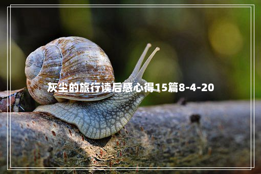 灰尘的旅行读后感心得15篇8-4-20