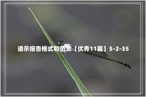 请示报告格式和范文【优秀11篇】5-2-35