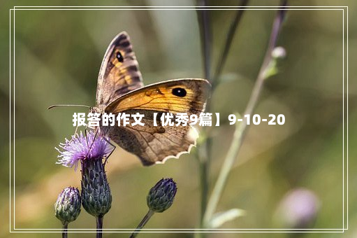 报答的作文【优秀9篇】9-10-20