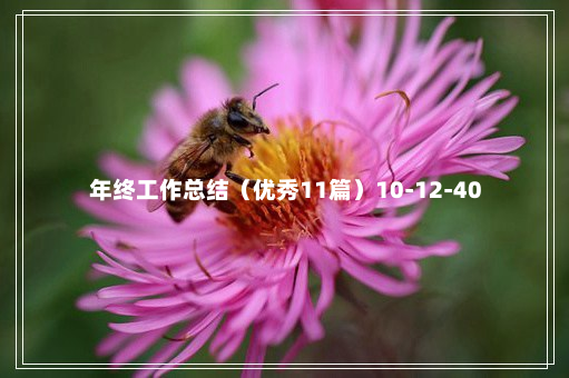 年终工作总结（优秀11篇）10-12-40