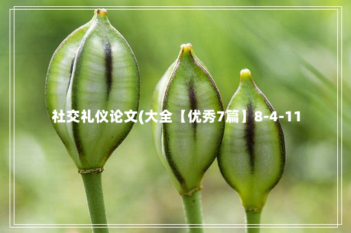 社交礼仪论文(大全【优秀7篇】8-4-11