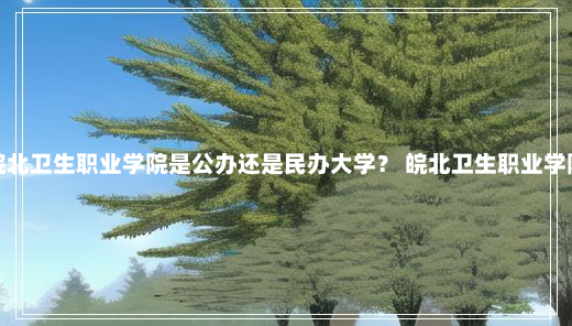 皖北卫生职业学院是公办还是民办大学？ 皖北卫生职业学院