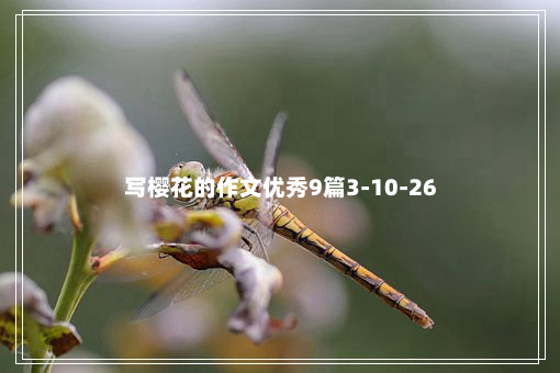 写樱花的作文优秀9篇3-10-26