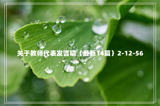 关于教师代表发言稿（最新14篇）2-12-56